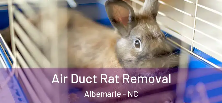 Air Duct Rat Removal Albemarle - NC