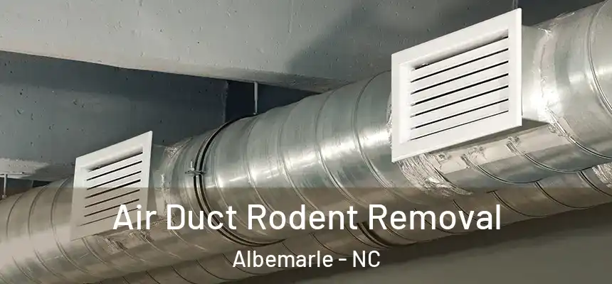  Air Duct Rodent Removal Albemarle - NC
