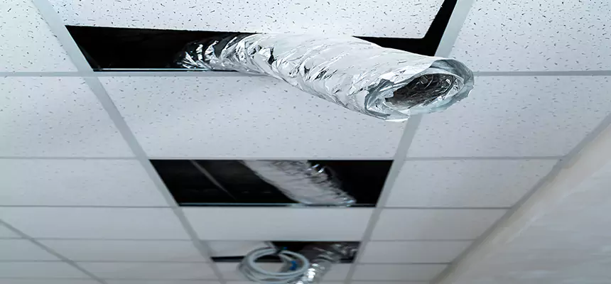 Our Air Duct Pet Hair Removal Services in Albemarle, NC