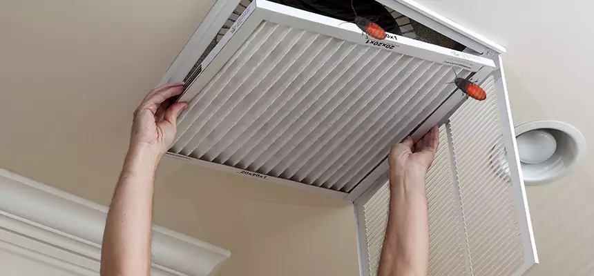 Our Insect Removal from Air Ducts Services in Albemarle, NC