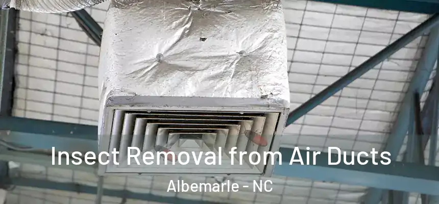 Insect Removal from Air Ducts Albemarle - NC