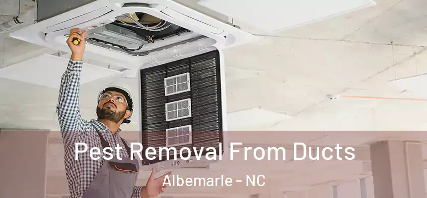 Pest Removal From Ducts Albemarle - NC