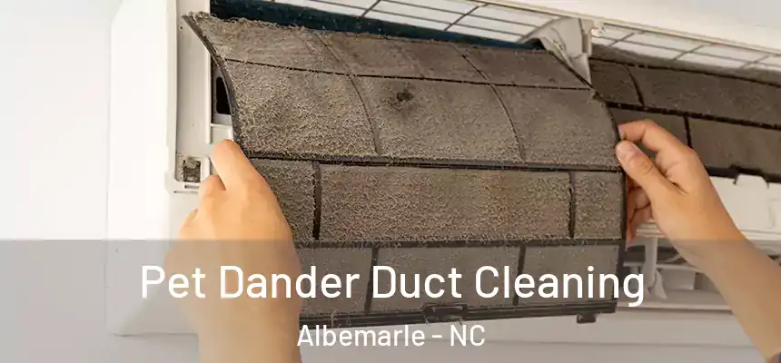 Pet Dander Duct Cleaning Albemarle - NC
