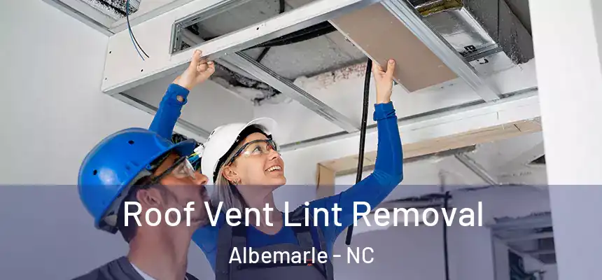  Roof Vent Lint Removal Albemarle - NC