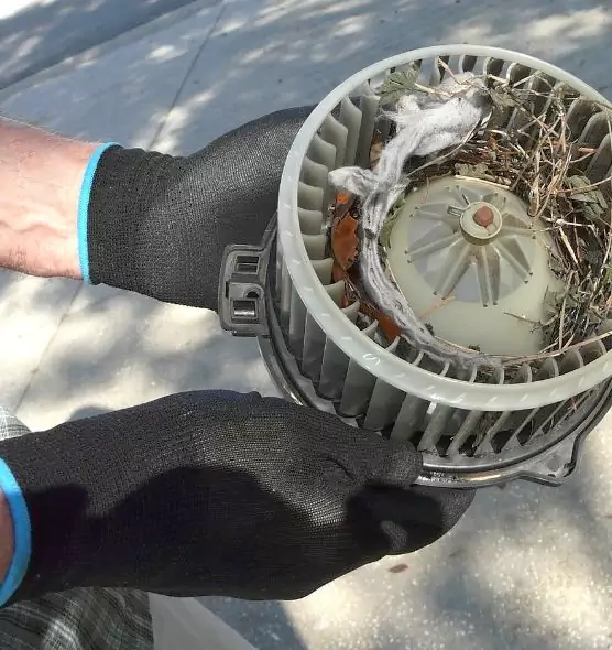 About Air Duct Rat Removal in Albemarle, NC