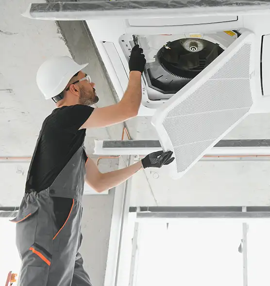 About Air Duct Rodent Removal in Albemarle, NC