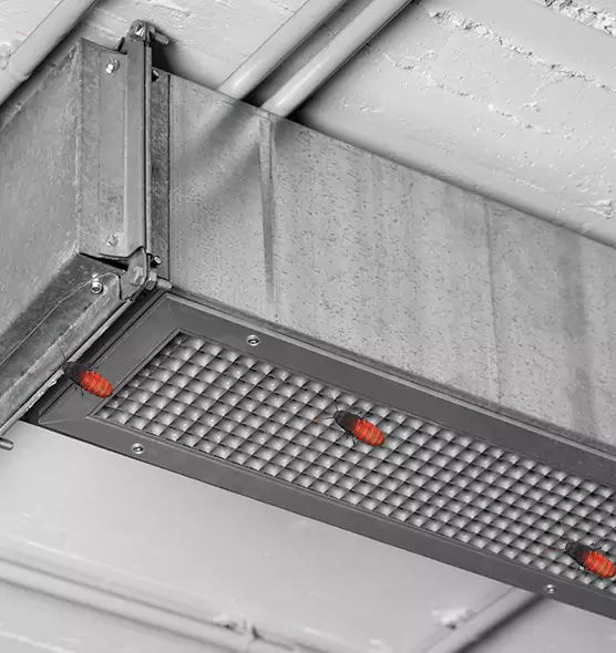 Affordable Insect Removal from Air Ducts in Albemarle, NC