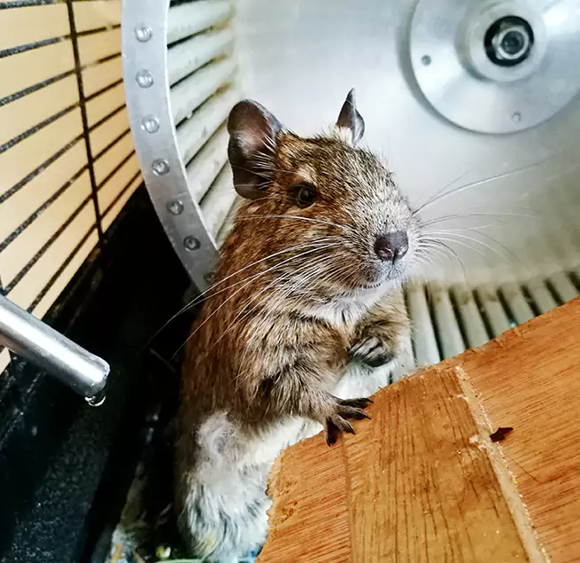 Why Homeowners & Businesses Trust Us Albemarle, NC?