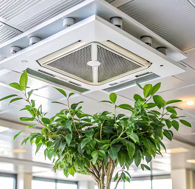 Why Homeowners & Businesses Trust Us in Albemarle, NC?